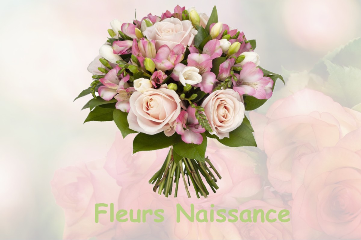 fleurs naissance SIAUGUES-SAINTE-MARIE
