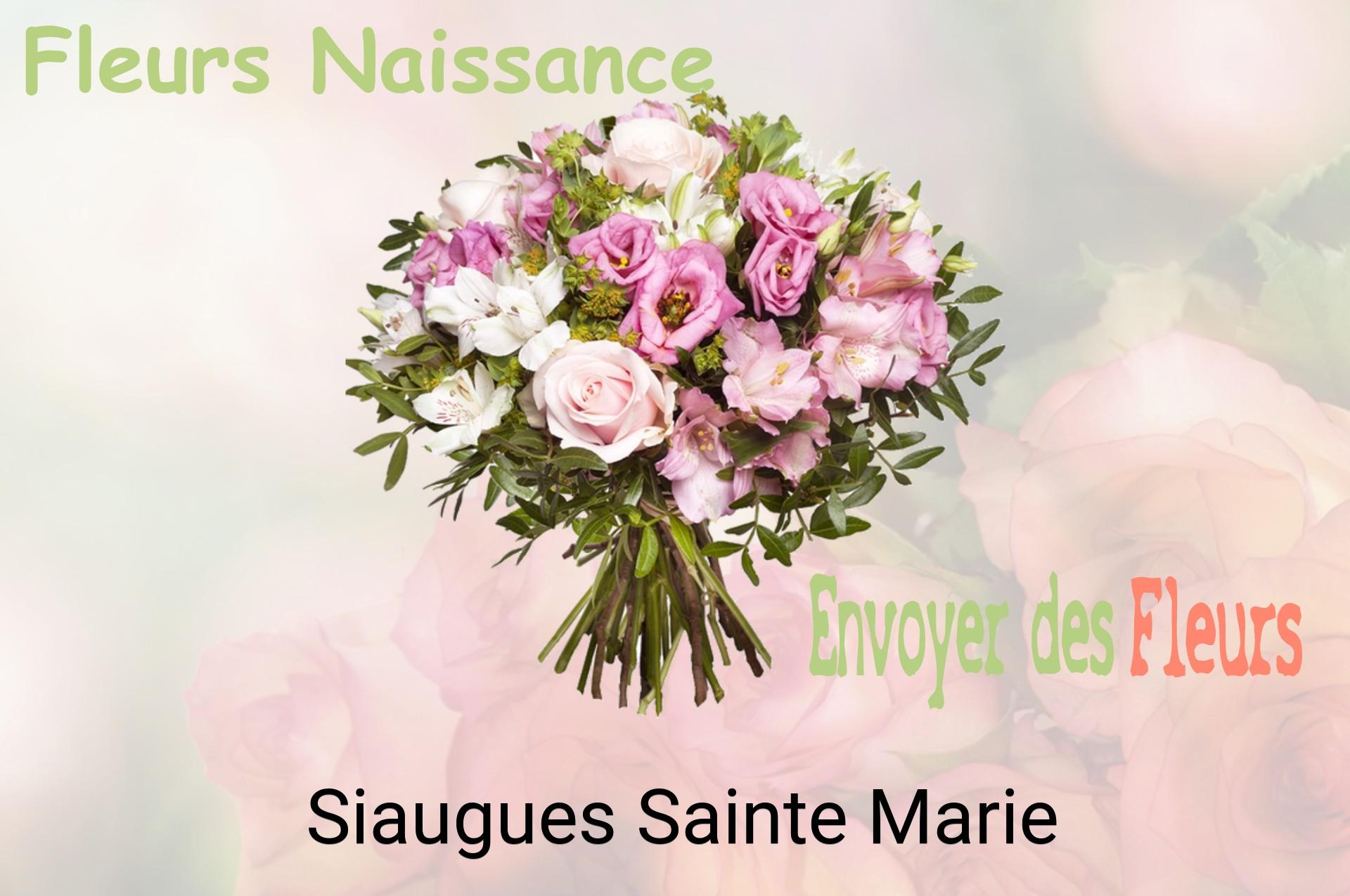 Bouquet de fleurs de naissance livré à Siaugues-Sainte-Marie